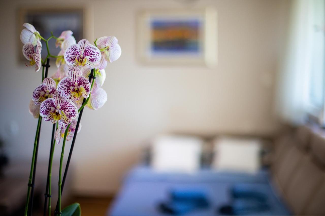 Mia Leona Apartment Split Ngoại thất bức ảnh
